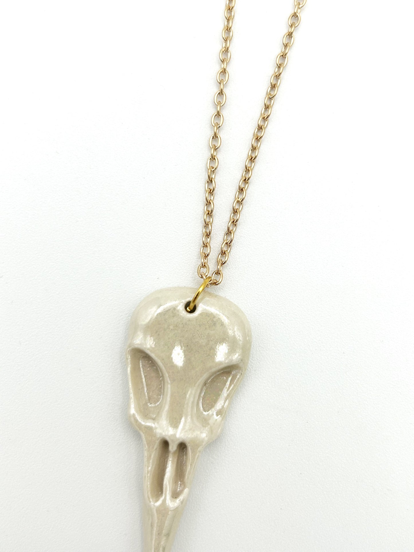Bird skull necklace