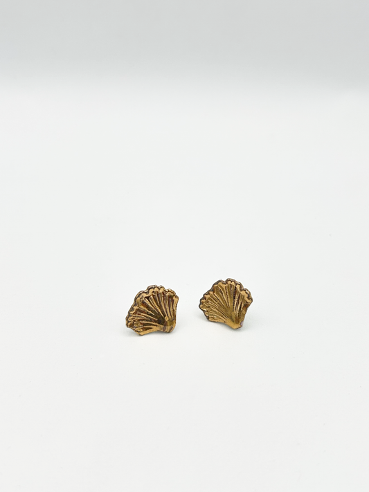 Athena shell studs